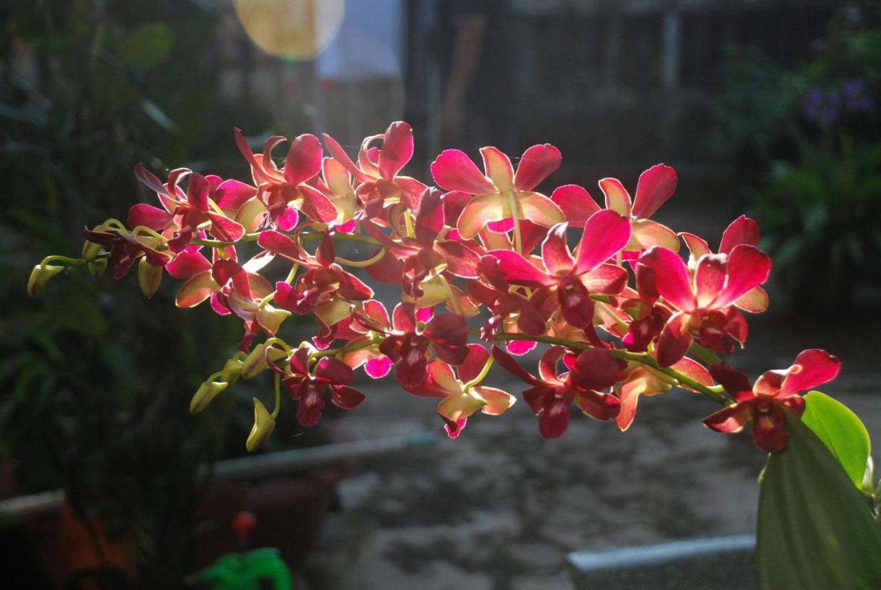 विला Orchid Garden Riverside